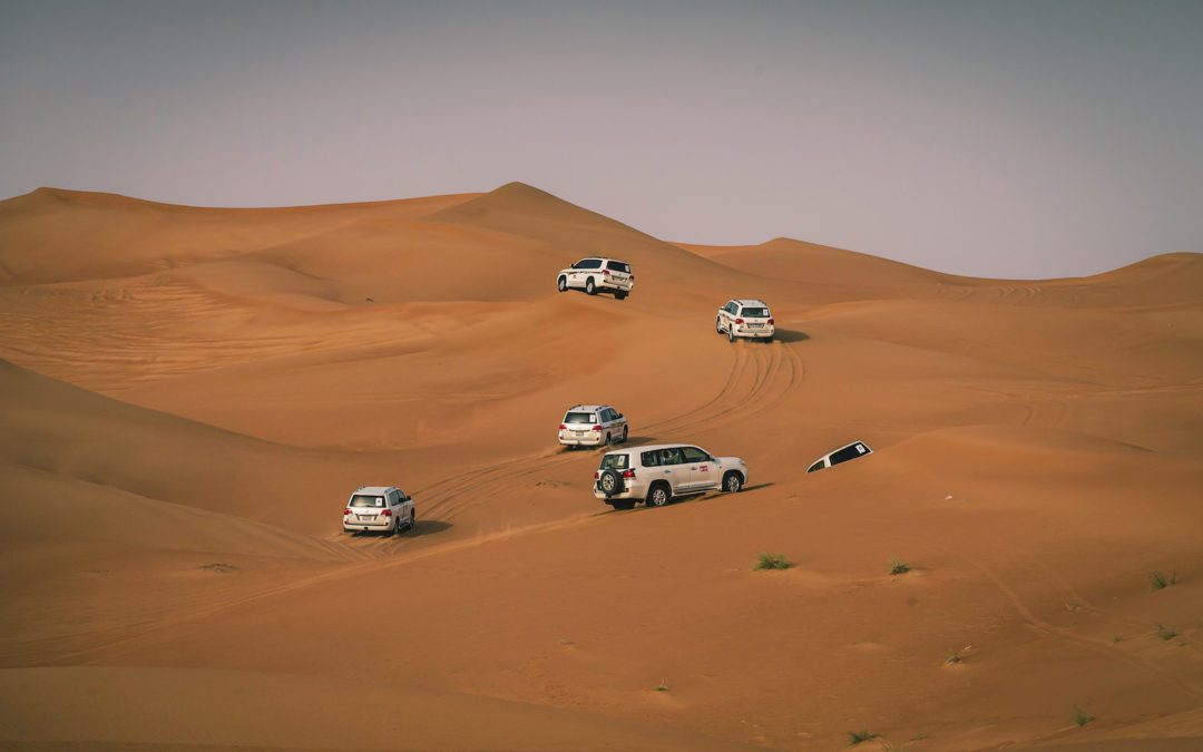 Action-packed Morning Adventure